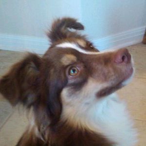 Meet your Posher, Janice